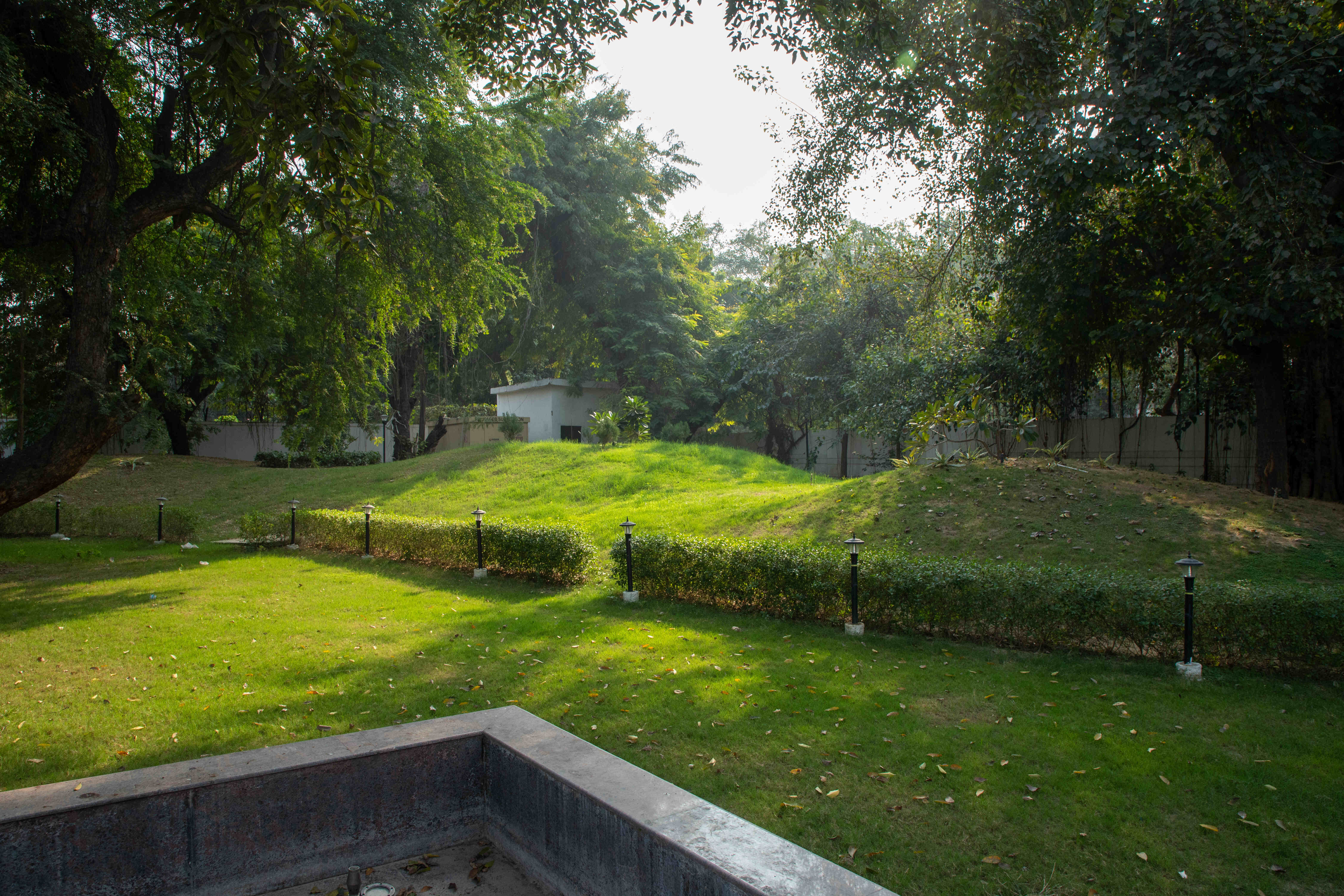 Lawn Area