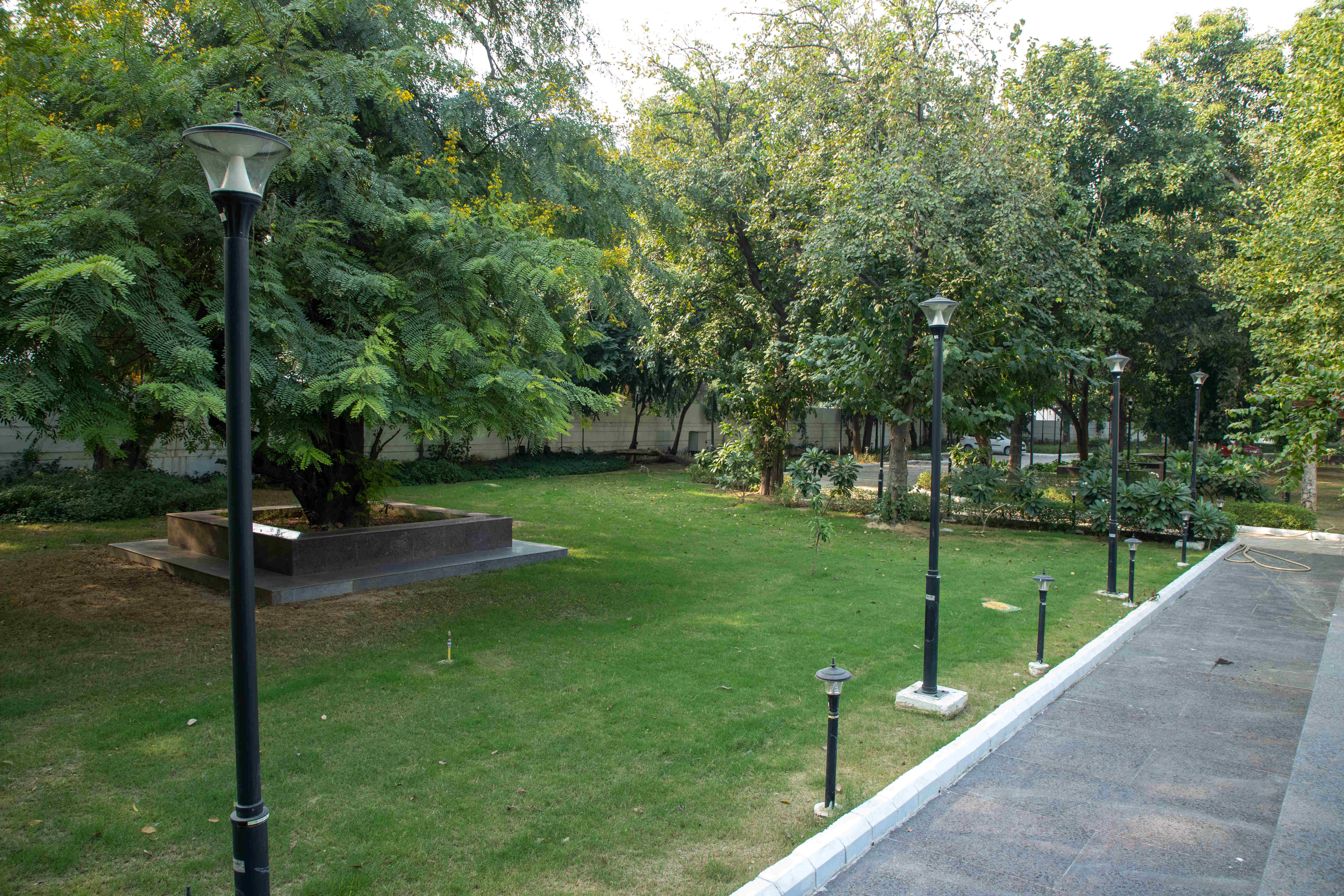 Lawn Area